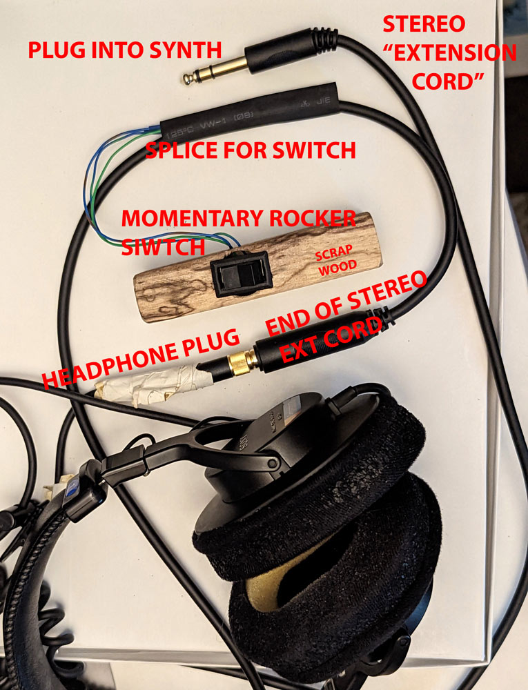 diplacusis test set up blinker switch